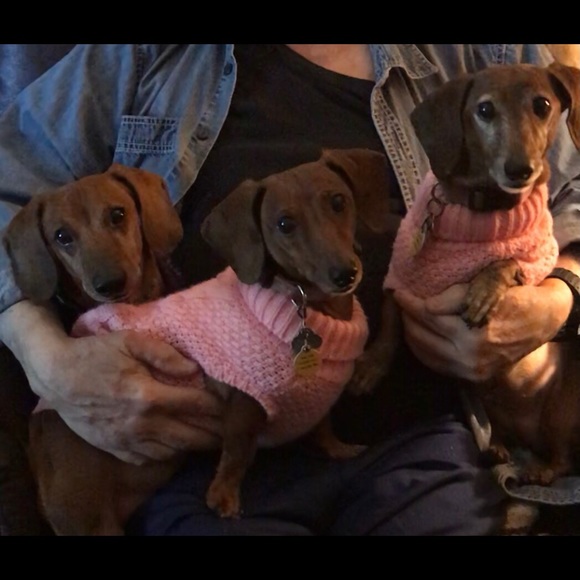 3hotdoxies